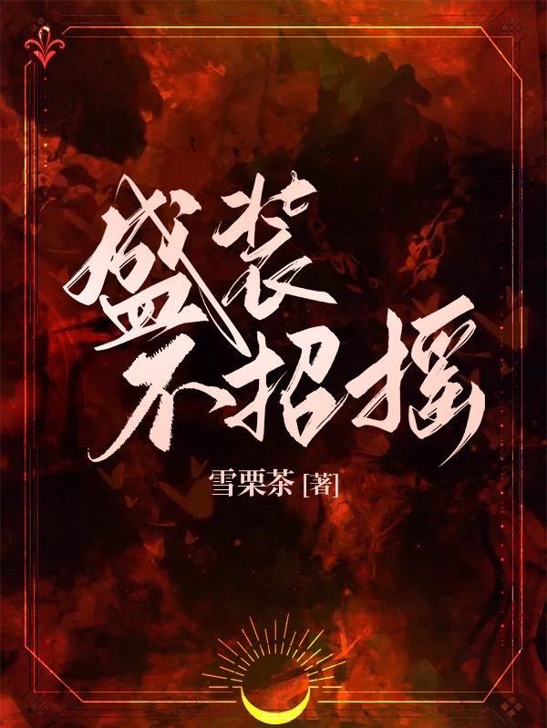 盛装不招摇txt