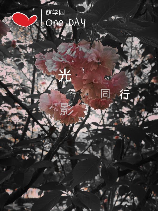 穿越萌学园之光影之星