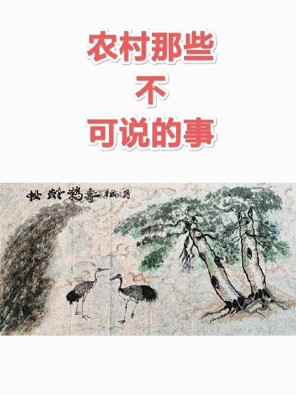 农村不能理解的婚礼