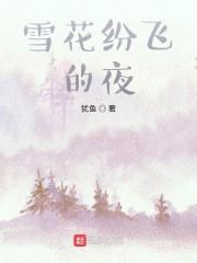 雪花纷飞的冬季是什么歌