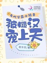 年代文里的学霸文