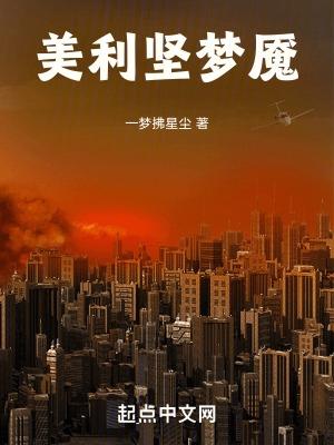 梦碎美利坚