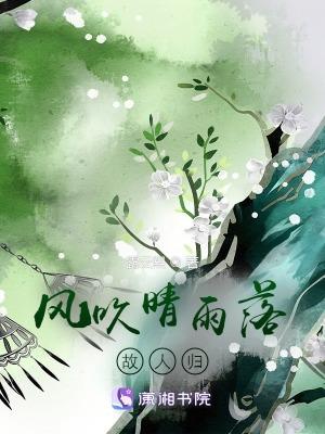 风吹雨的下一句