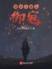 骑马与砍杀三国兵种