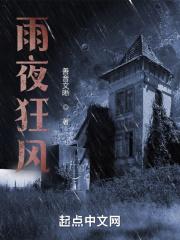 狂风暴雨夜晚感言