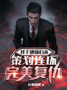 高智商完美复仇的电影