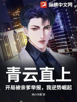 青云直上免费阅读 笔趣阁