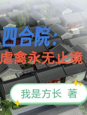四合院开局写永无止境的