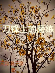 刀锋上的行走电视剧全集