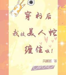 穿书后我成了修真文大反派txt