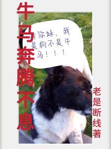 马不停蹄