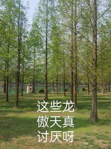 龙傲天类型的