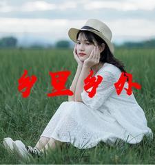 乡里视界 百家号