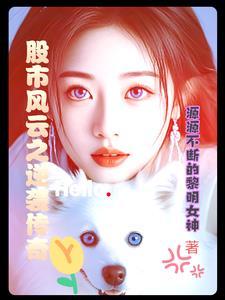 股市风云二十年 pdf