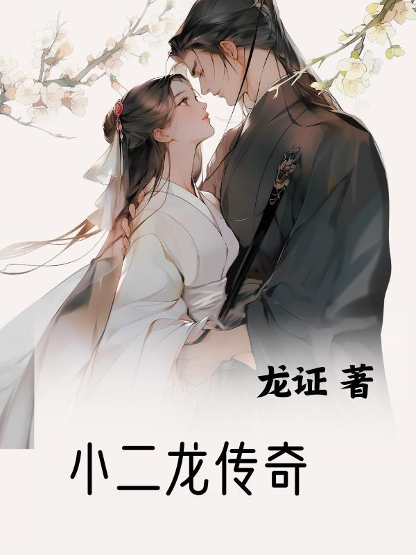 小龙外传2