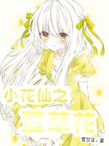 小花仙花仙