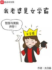我老婆是女学霸无窗口
