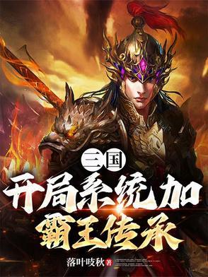三国开局获得霸王之力
