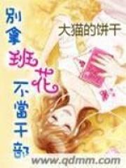 别拿班花不当干部同类