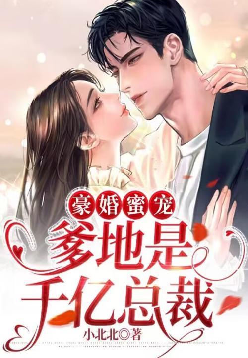 豪门私宠总裁爹地超给力