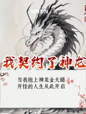 神龙契约多少钱
