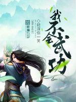我不会武功角色介绍