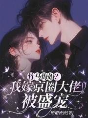 我嫁给了竹马哥哥