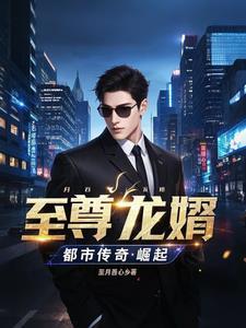 至尊龙婿免费全文