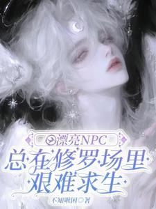 小漂亮npc美貌值爆表晋江