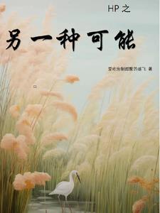 hp另一种选择阅读