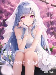 崩坏之我不是
