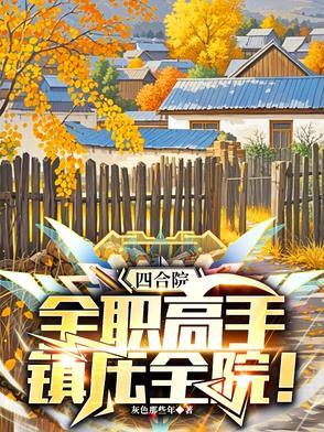 四合院完美人生
