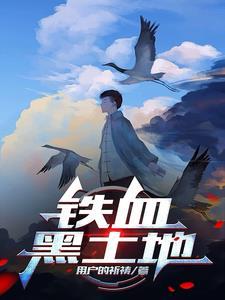 第44集风雪中的战斗