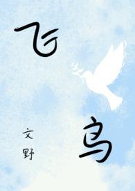 文豪野犬菲总