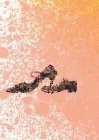 家属区是什么