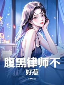 腹黑律师追妻火葬场