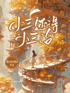 小三真的好吗