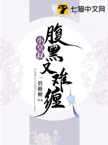 小皇叔腹黑又难缠TXT奇书网