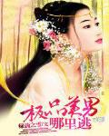 极品美男的基因免