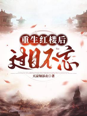 穿到红楼去写文