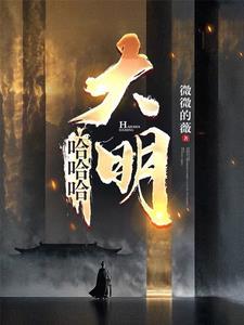 大明 评价