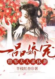 一品王妃将军嫁到