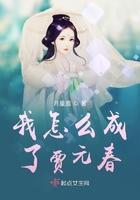 我怎么成了贾元春的儿子