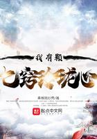 有七窍玲珑心的