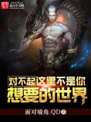 对不起这是另外的价钱