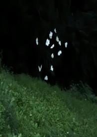 蔚然花海门票多少钱