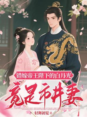 错嫁的皇妃