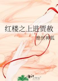 红楼之上进贾赦作者绝世神狐
