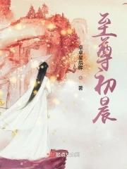 至尊叶辰与萧初然