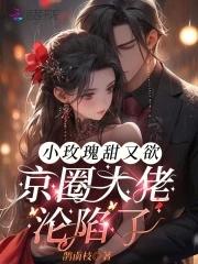 小玫瑰书坊